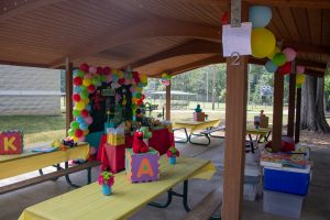 Pavilions Willspark Com, How To Decorate A Park Shelter For Birthday